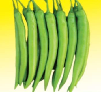 CHILLI