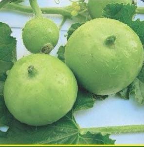 TINDA