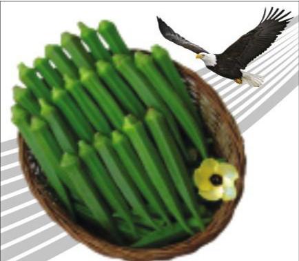 BHINDI 